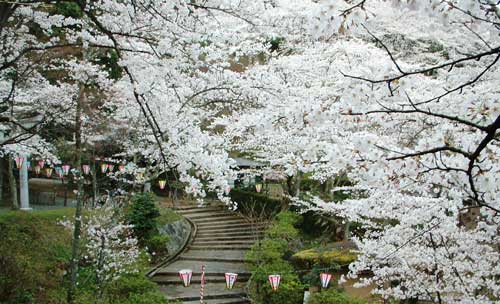 ��➌��������J