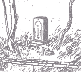 ���g�P�̕�